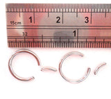 Stainless Steel Segment SNAKE BITES Lip Hoops Rings 16g 16 gauge 10mm Diameter - I Love My Piercings!