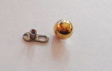 Micro Dermal Titanium Grade 23 Anchor Base Foot Gold 5mm Dome  14 gauge 14g - I Love My Piercings!