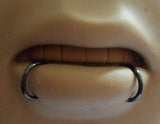 Black Segment Snake Bites Piercings Hoops Bottom Lip 16 gauge 16g - I Love My Piercings!